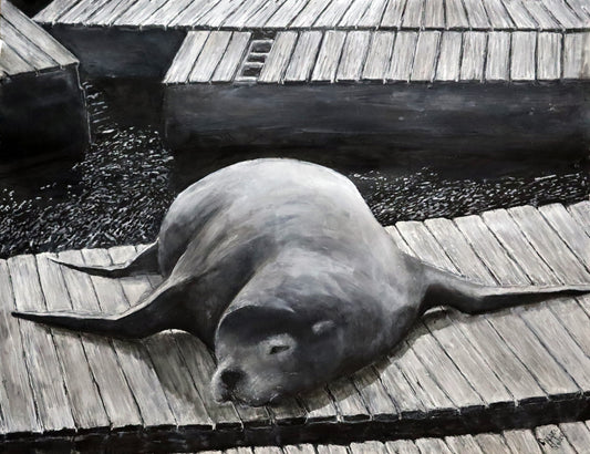 Sea Lion on pier