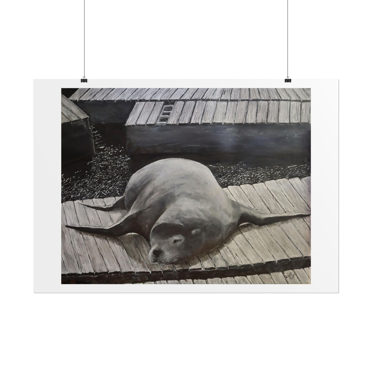 Sea Lion  print