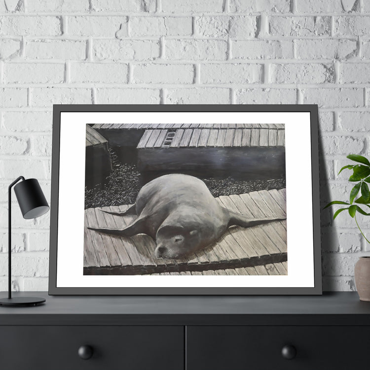 Sea  Lion (framed print)