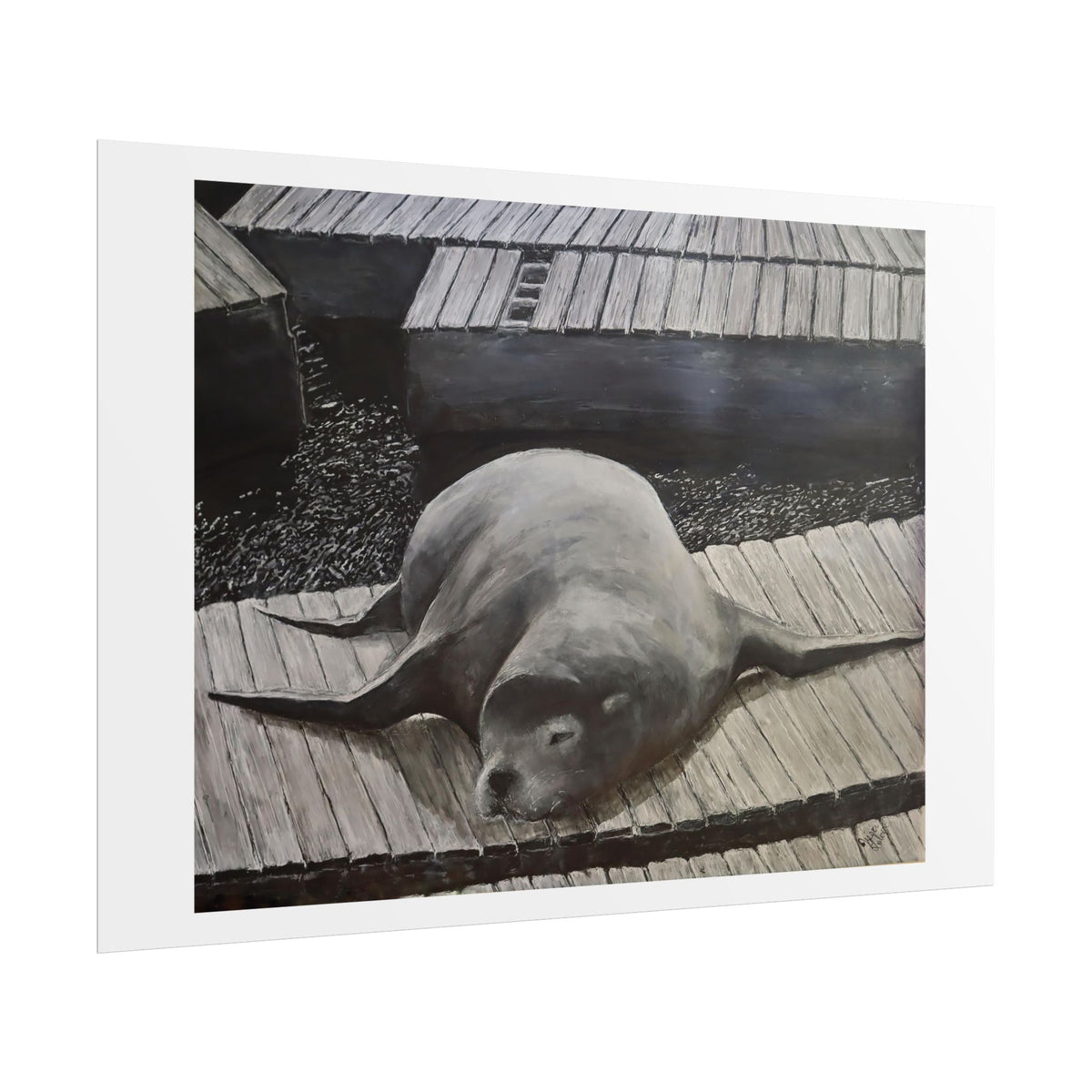 Sea Lion  print