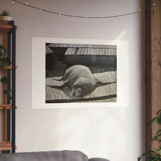 Sea Lion (unframed print)