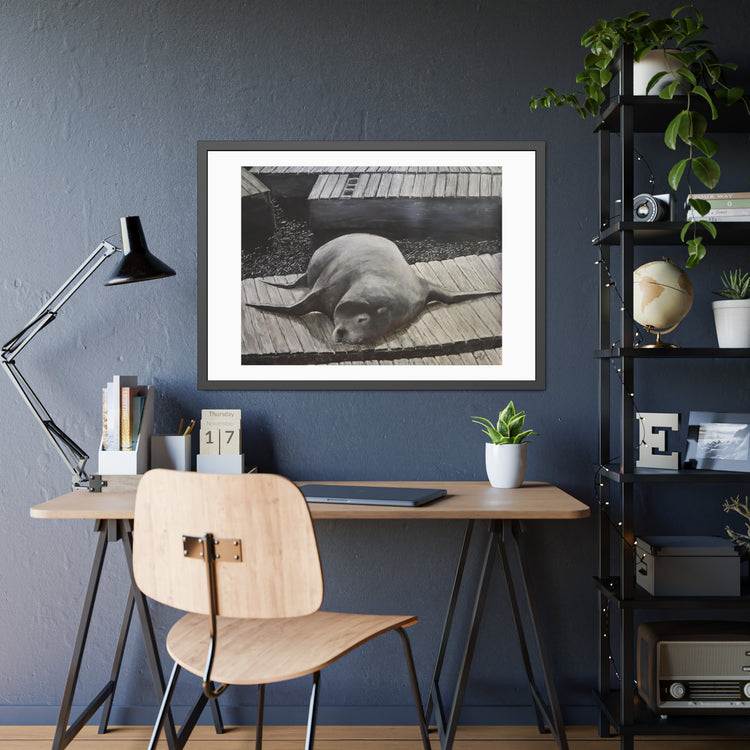 Sea  Lion (framed print)