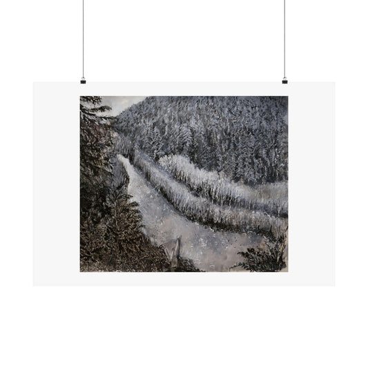 Olympic national forest (unframed print)