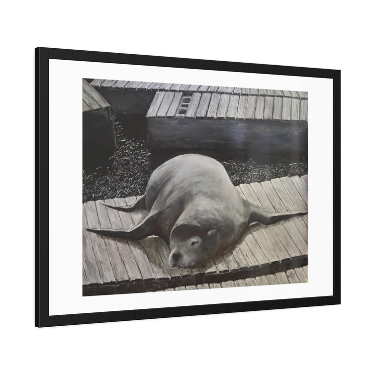 Sea  Lion (framed print)