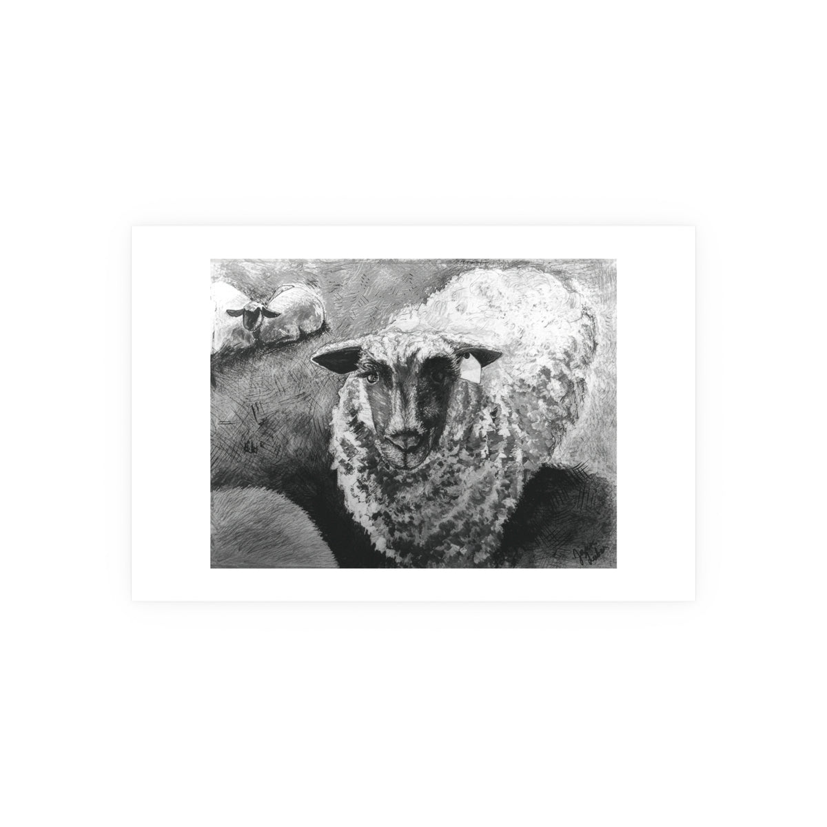 Black and White Sheep Wall Art Poster