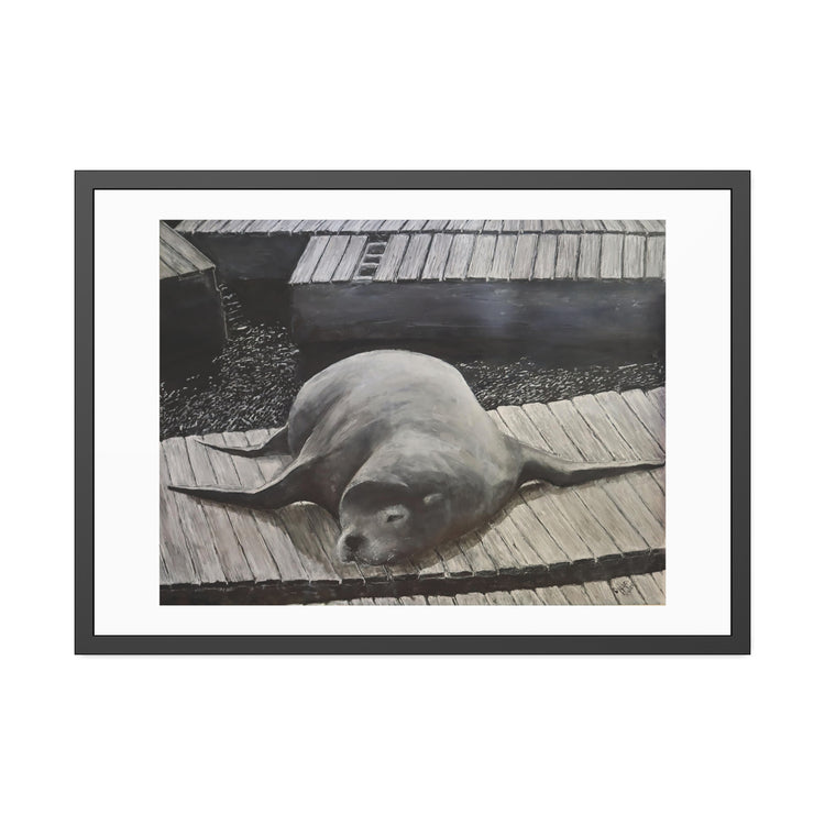 Sea  Lion (framed print)