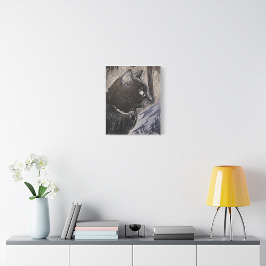 Cat in window (canvas print)