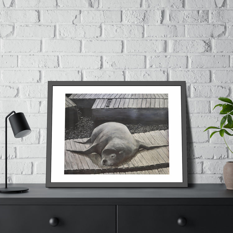 Sea  Lion (framed print)