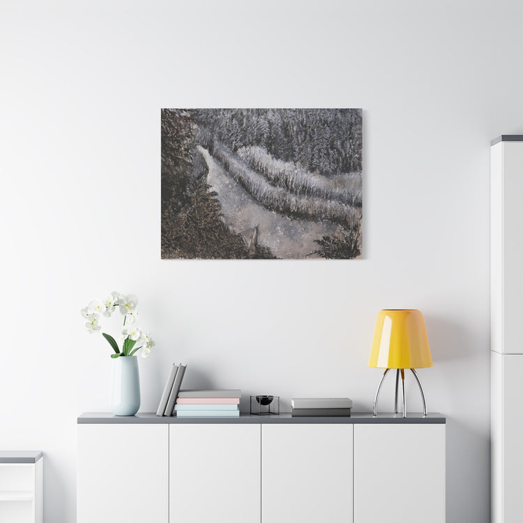 Olympic National Forest river (canvas print)