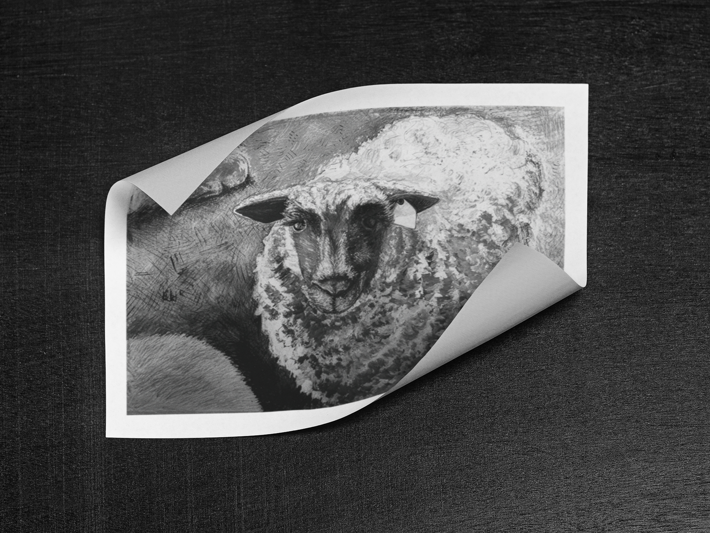 Mamma Sheep Art Print