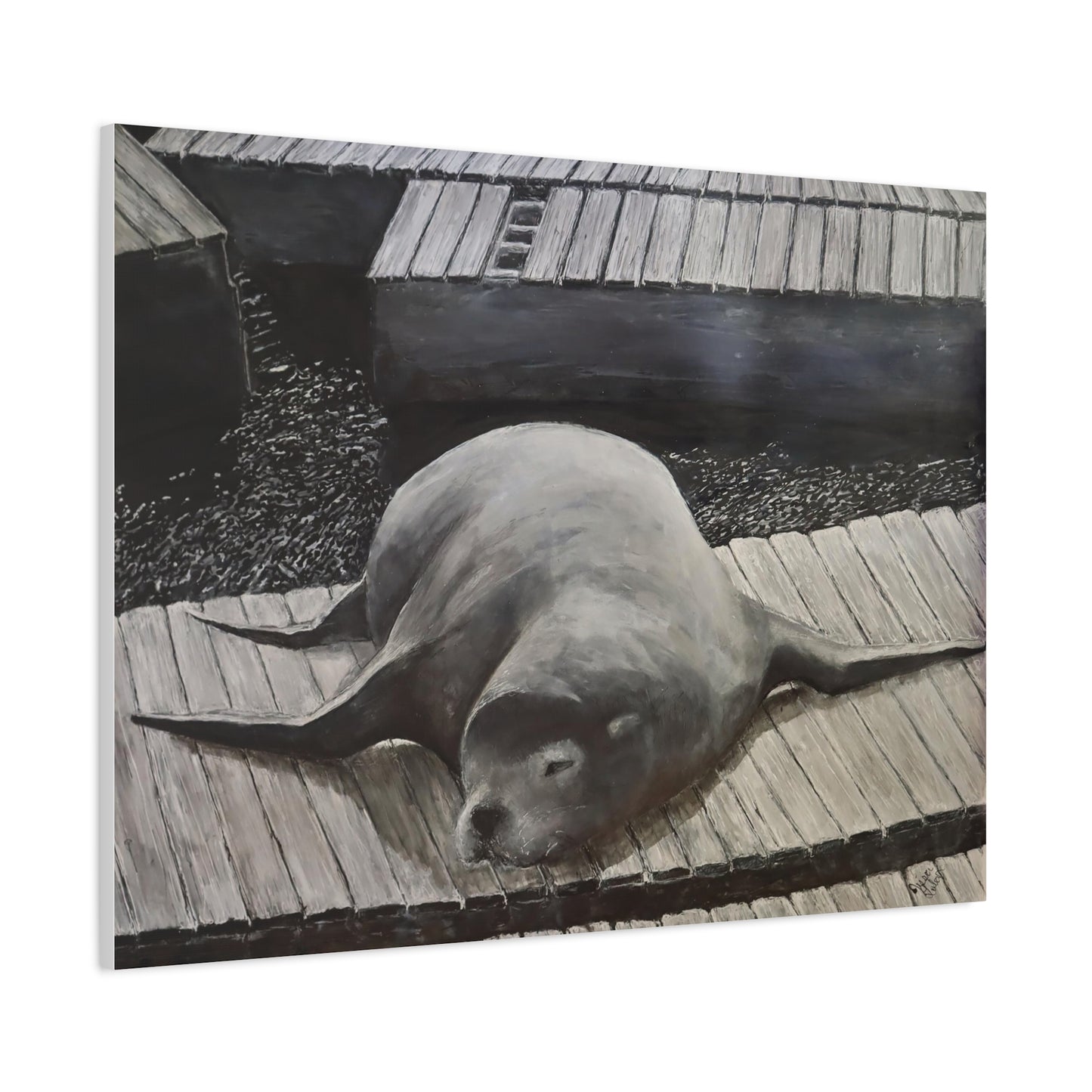 Sea Lion (canvas print)