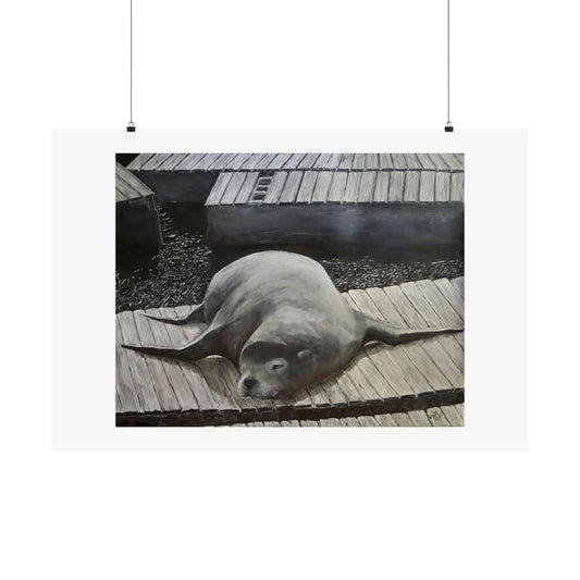 Sea Lion (unframed print)