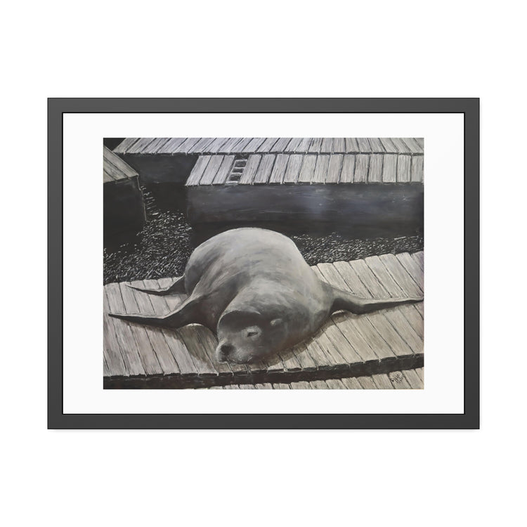 Sea  Lion (framed print)