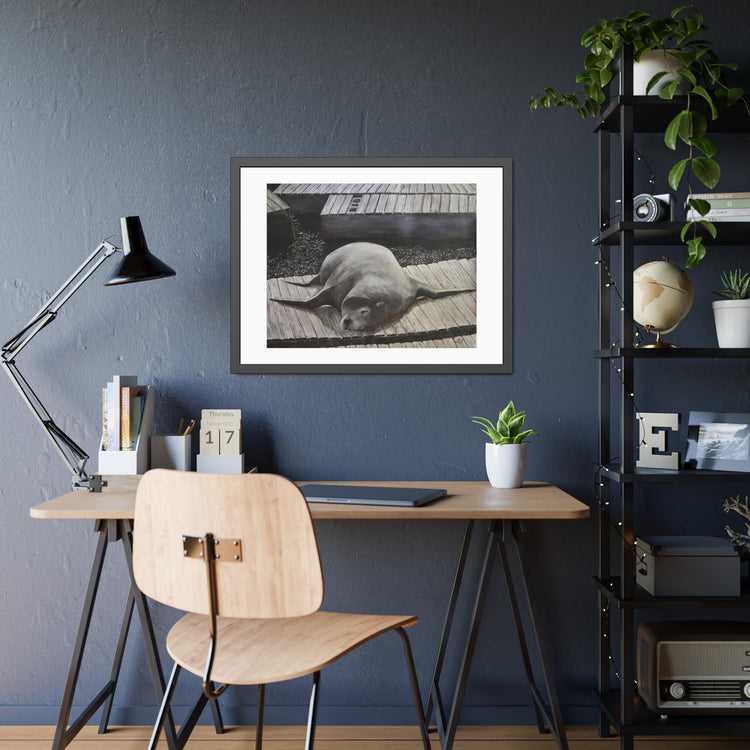 Sea  Lion (framed print)