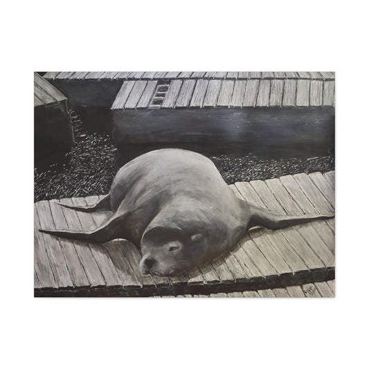 Sea Lion (canvas print)